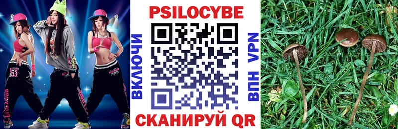 Купить  Родники  Галлюциногенные грибы Magic Shrooms 